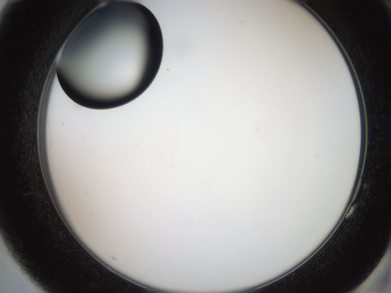 folderID574_plateID2574_batchID13028_wellNum83_profileID1_d2_r196782_ef.jpg