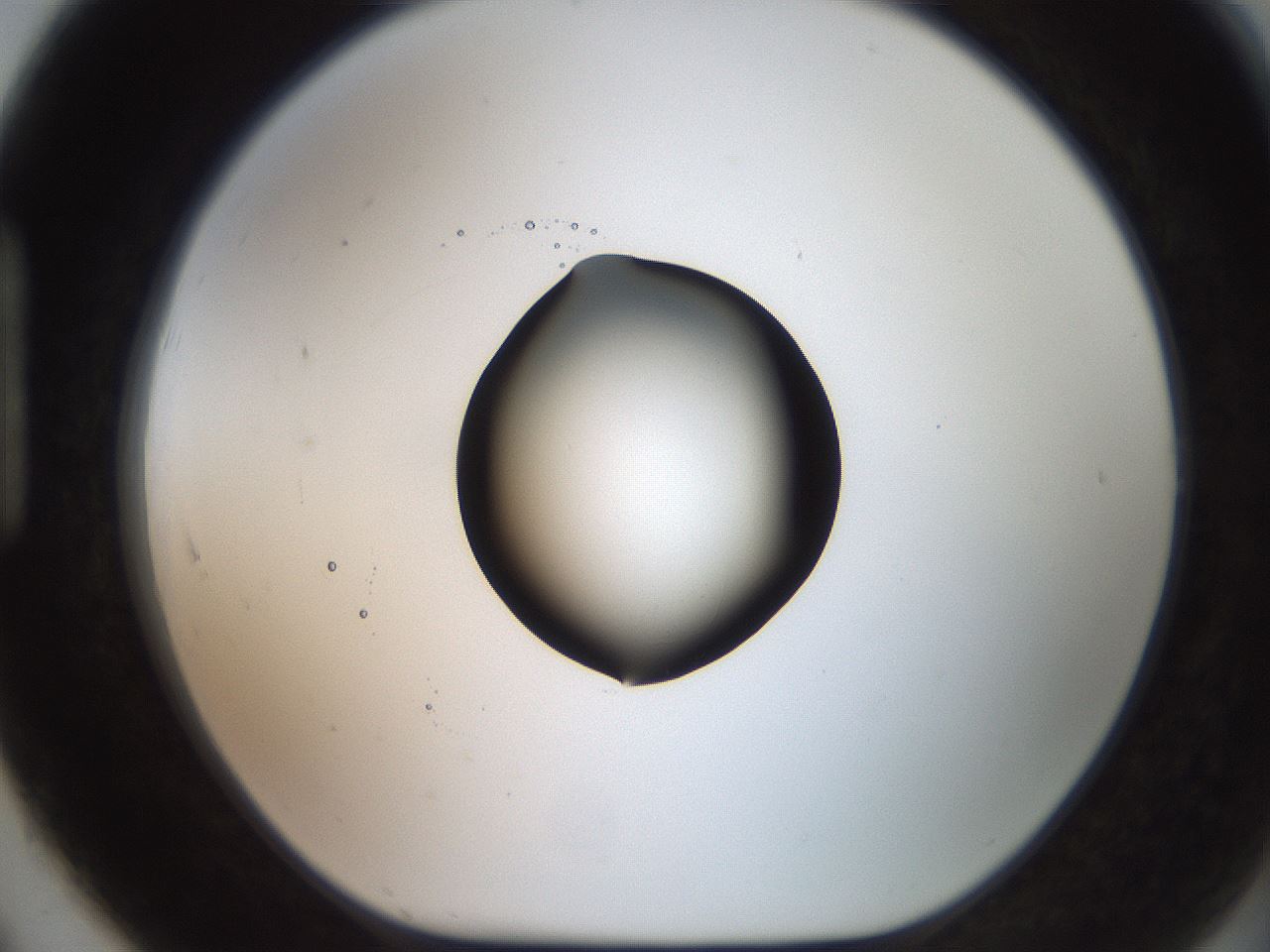 folderID574_plateID2574_batchID13028_wellNum91_profileID1_d1_r196797_ef.jpg