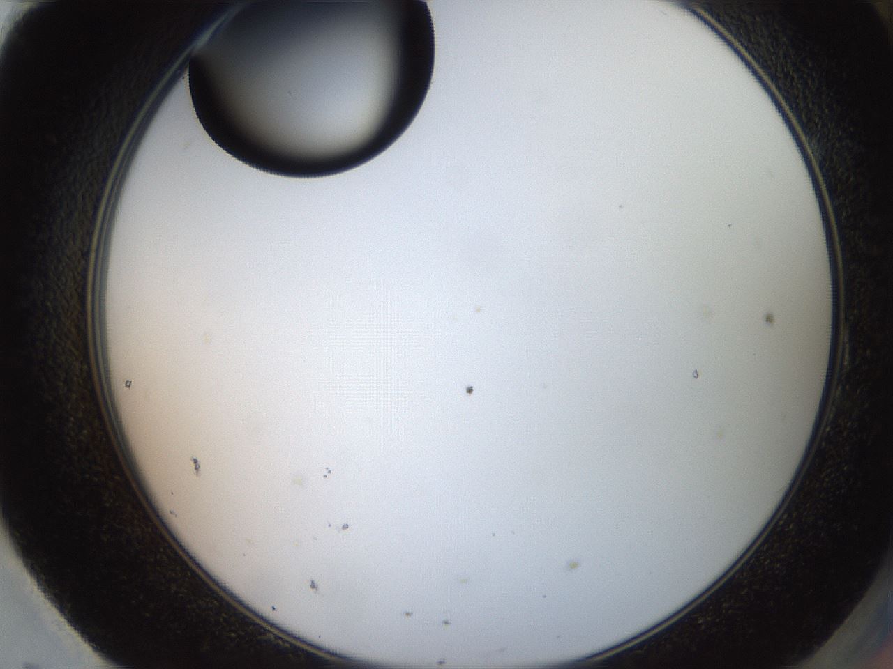 folderID574_plateID2574_batchID13028_wellNum95_profileID1_d2_r196806_ef.jpg