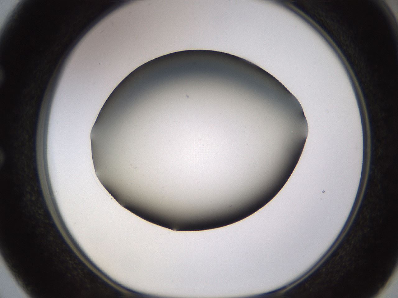 folderID575_plateID1575_batchID6363_wellNum50_profileID1_d1_r103217_ef.jpg