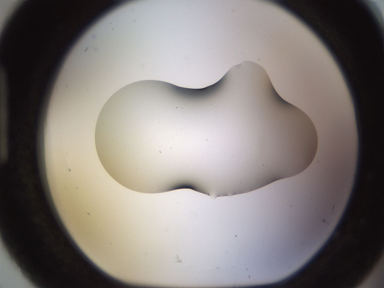 folderID575_plateID1575_batchID6363_wellNum92_profileID1_d1_r103301_ef.jpg