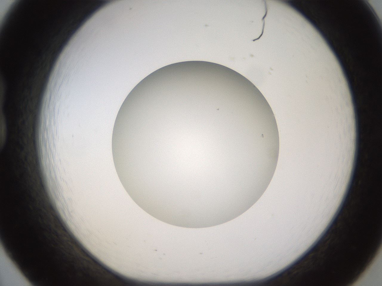 folderID576_plateID1576_batchID6364_wellNum20_profileID1_d1_r103330_ef.jpg