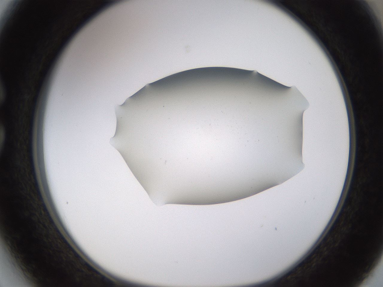 folderID576_plateID1576_batchID6364_wellNum27_profileID1_d1_r103337_ef.jpg