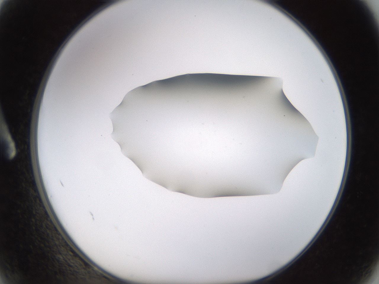 folderID576_plateID1576_batchID6364_wellNum2_profileID1_d1_r103312_ef.jpg
