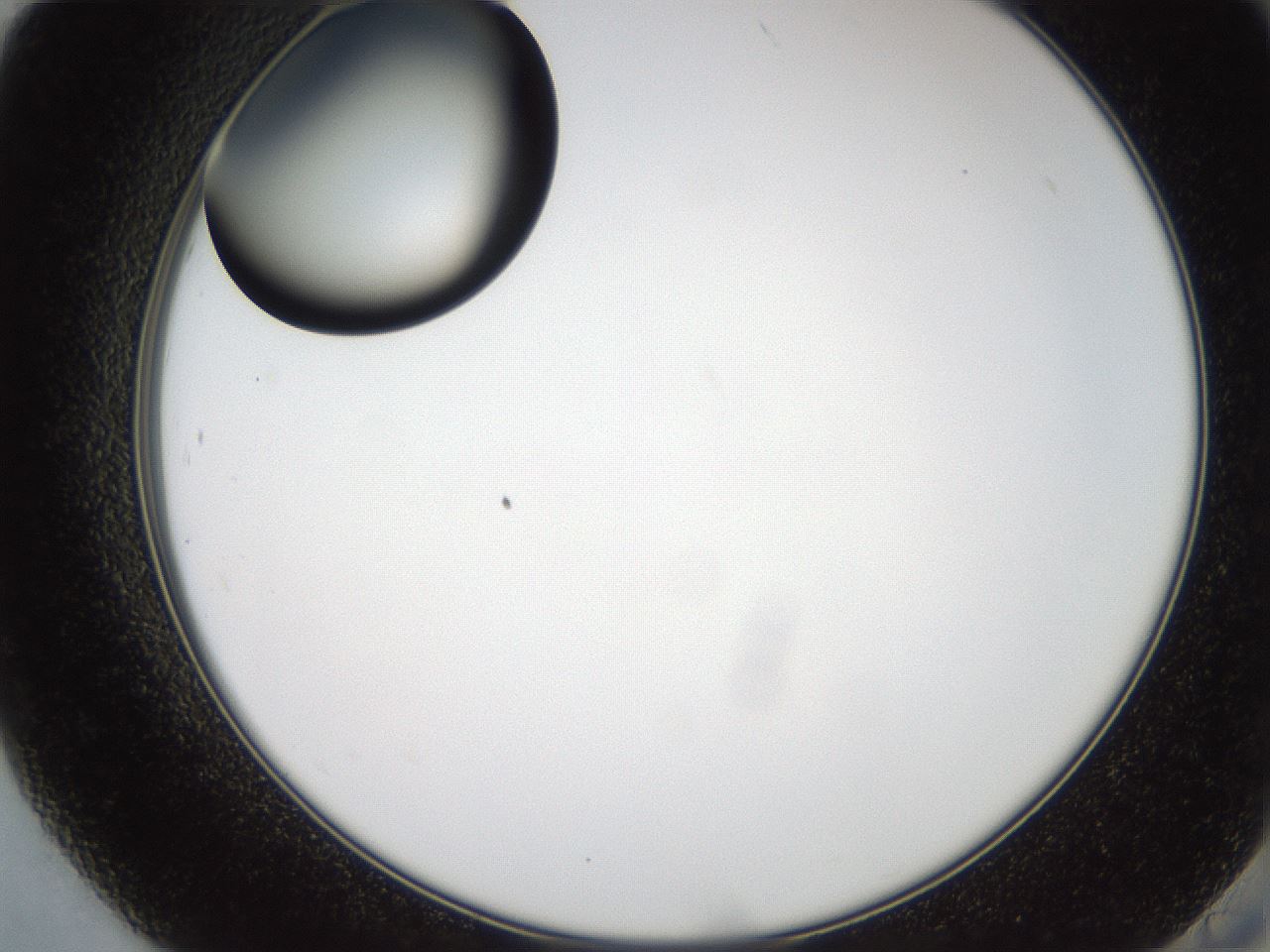 folderID574_plateID2574_batchID13028_wellNum84_profileID1_d2_r196784_ef.jpg
