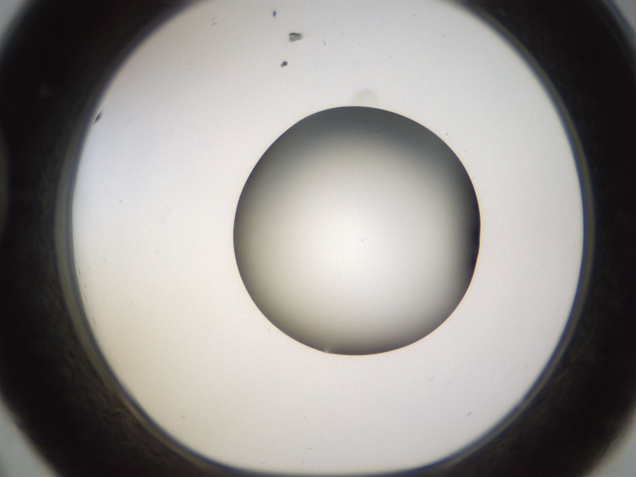 folderID576_plateID1576_batchID6364_wellNum44_profileID1_d1_r103354_ef.jpg