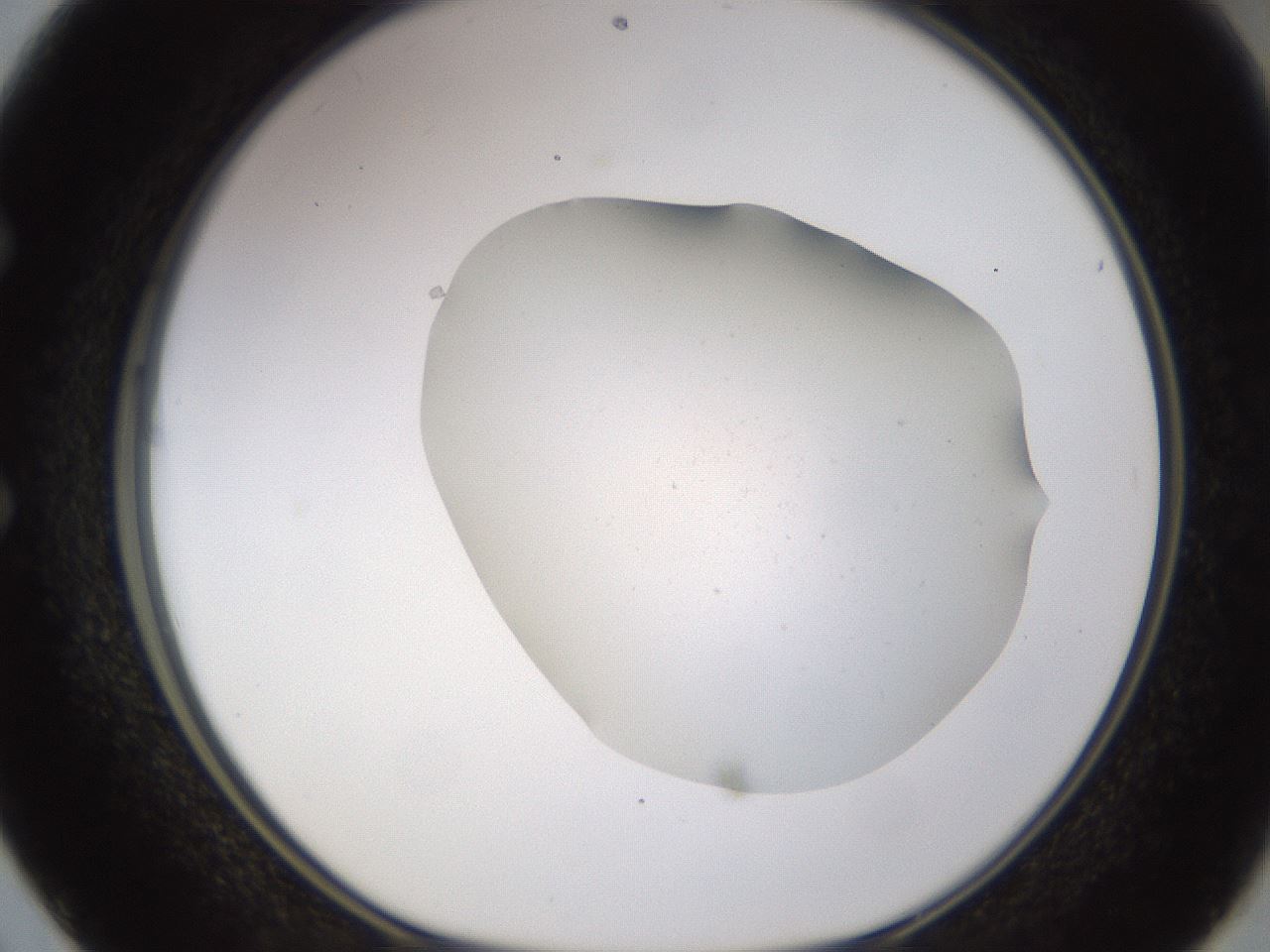 folderID576_plateID1576_batchID6364_wellNum50_profileID1_d1_r103360_ef.jpg