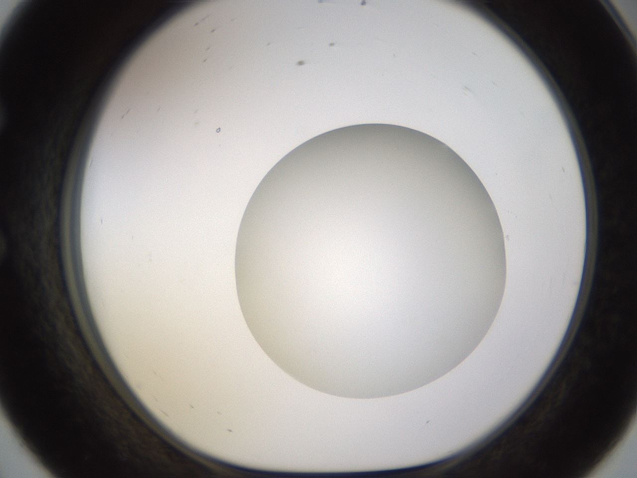 folderID576_plateID1576_batchID6364_wellNum56_profileID1_d1_r103366_ef.jpg