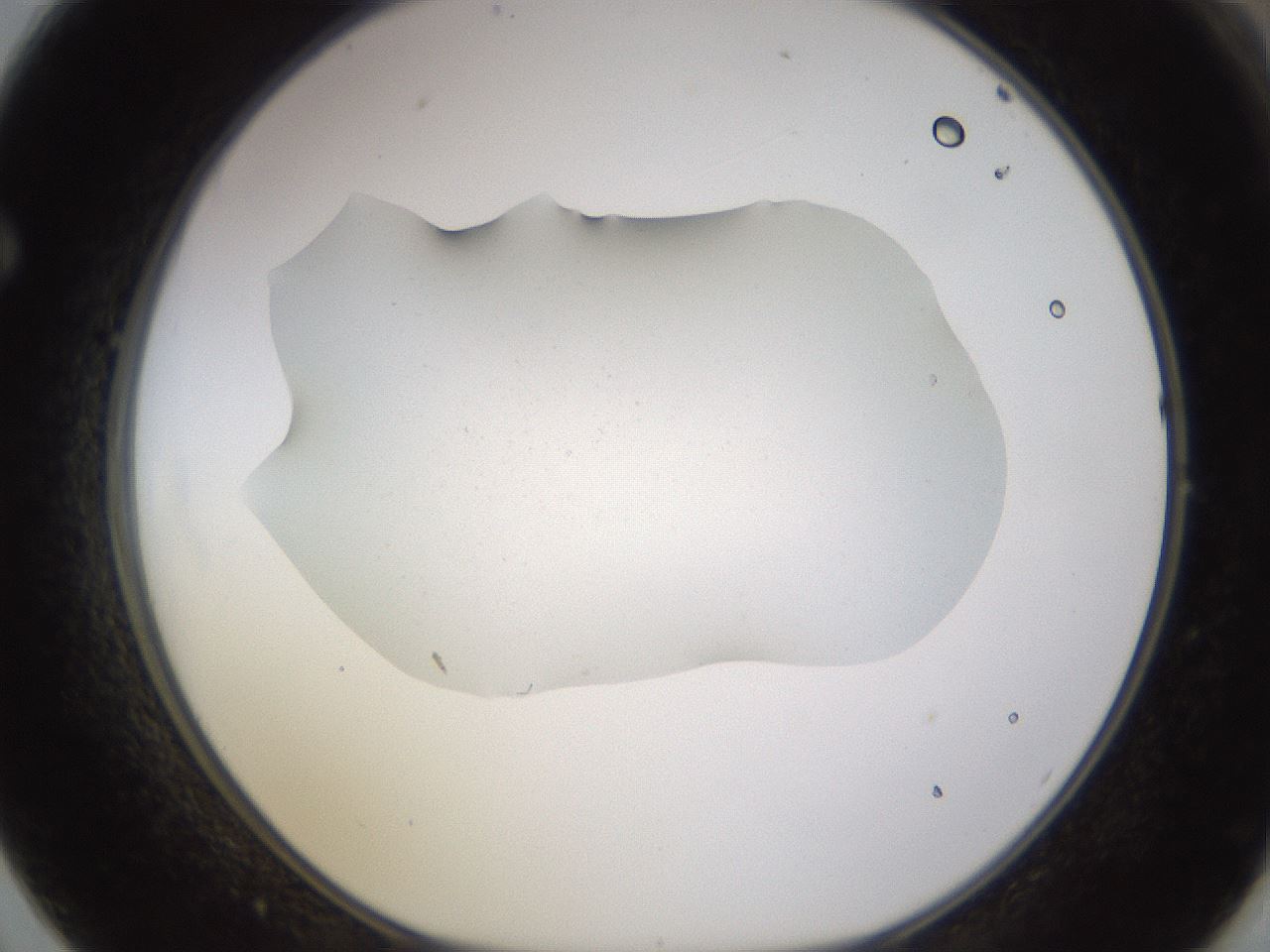 folderID576_plateID1576_batchID6364_wellNum62_profileID1_d1_r103372_ef.jpg