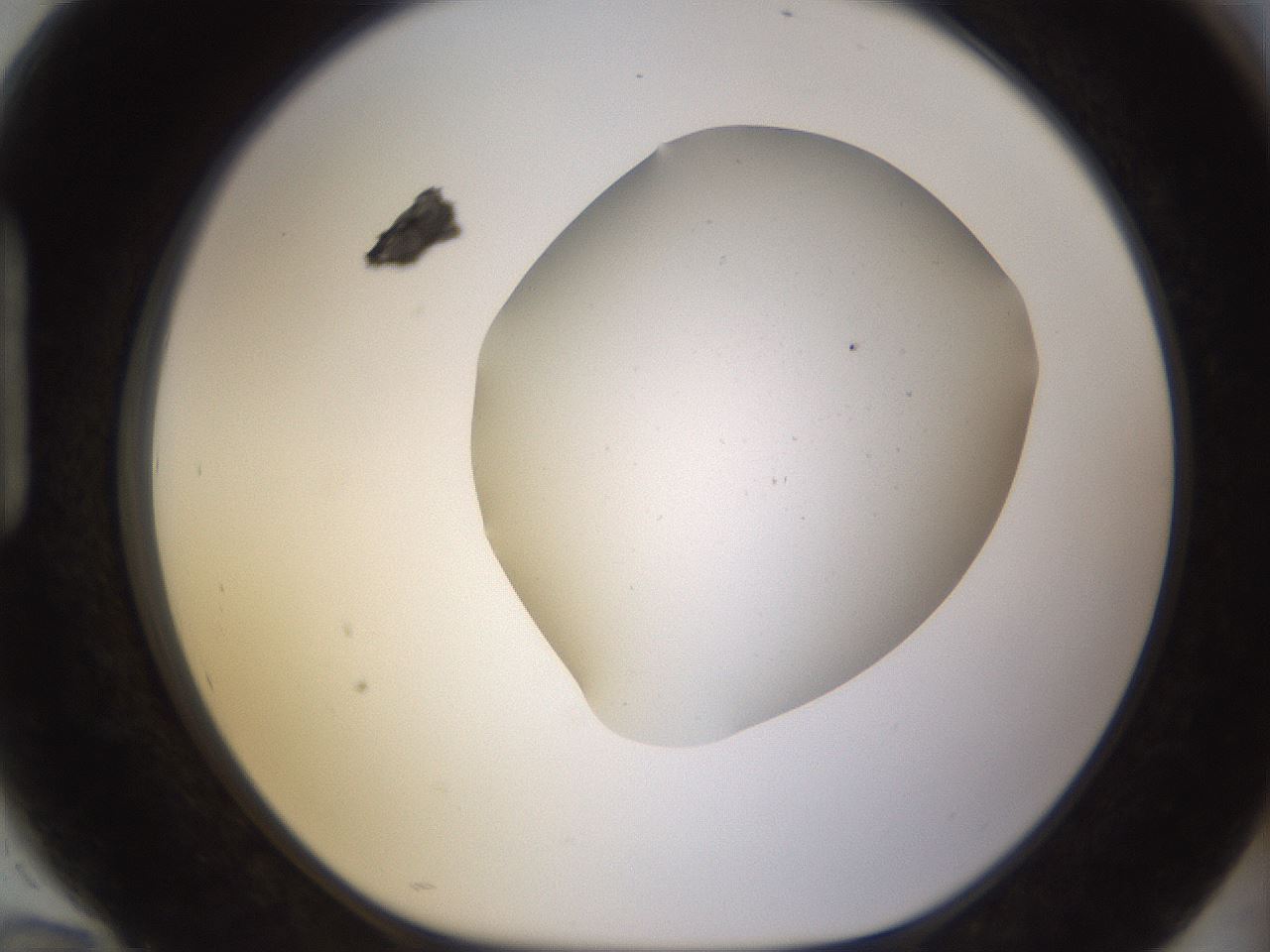 folderID576_plateID1576_batchID6364_wellNum94_profileID1_d1_r103404_ef.jpg