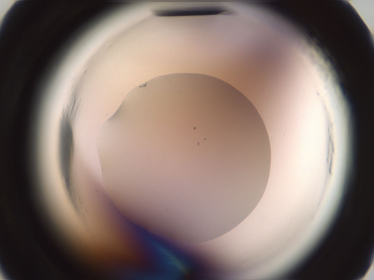 folderID576_plateID2576_batchID13156_wellNum20_profileID1_d2_r197635_ef.jpg