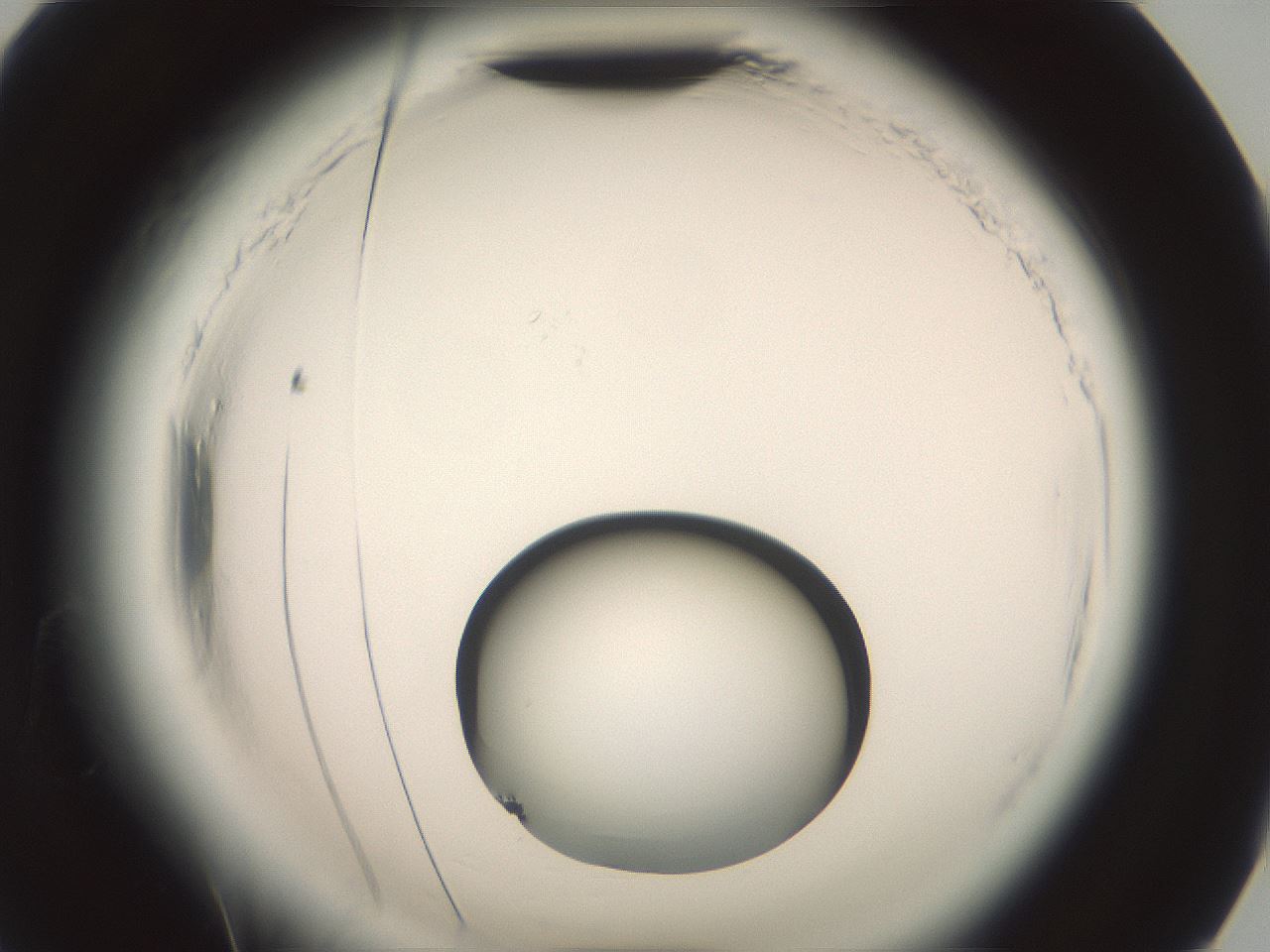 folderID576_plateID2576_batchID13156_wellNum90_profileID1_d2_r197845_ef.jpg