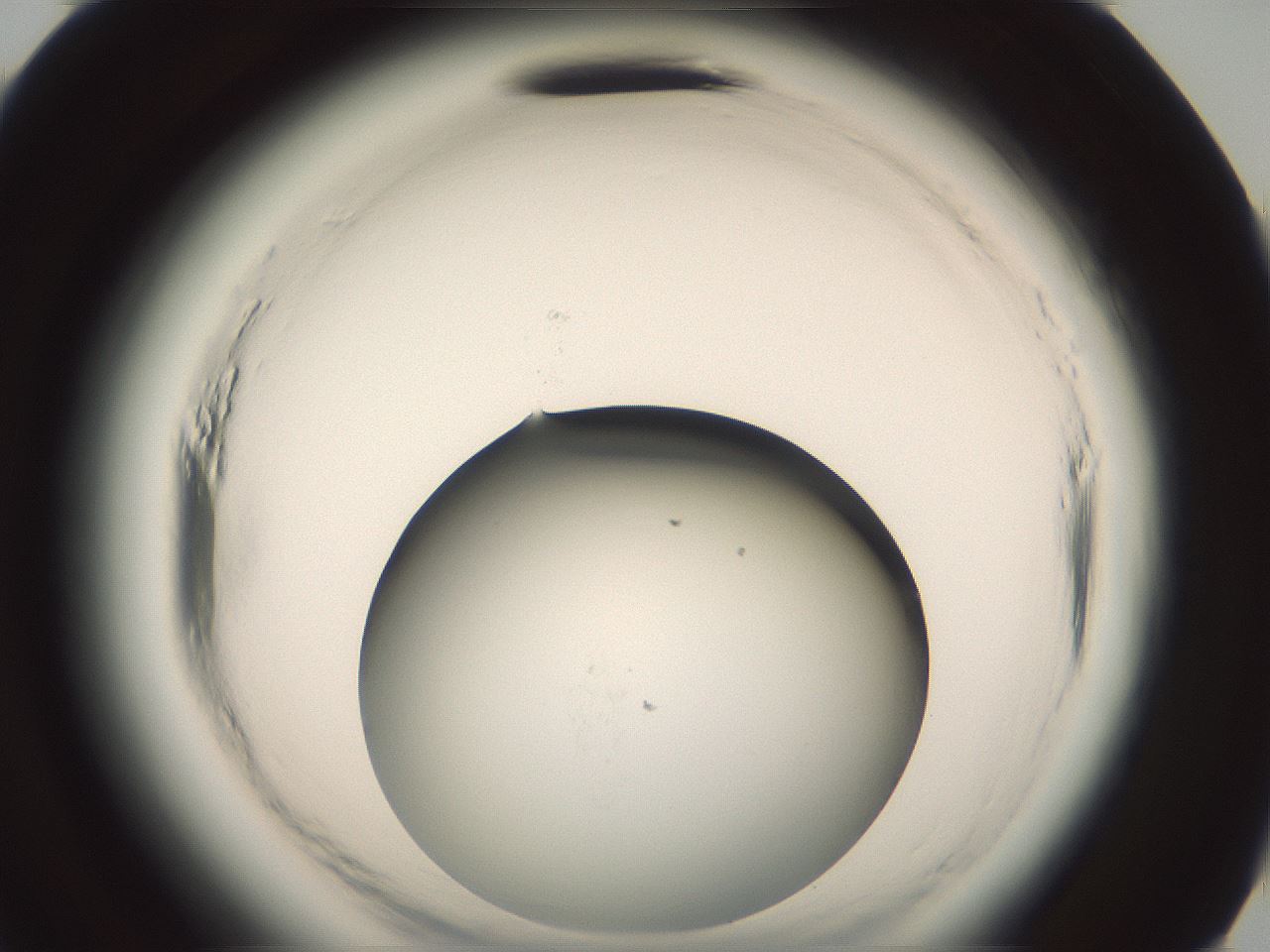 folderID576_plateID2576_batchID13156_wellNum95_profileID1_d3_r197861_ef.jpg