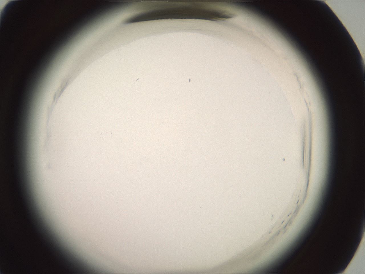 folderID577_plateID2577_batchID13160_wellNum67_profileID1_d1_r198639_ef.jpg