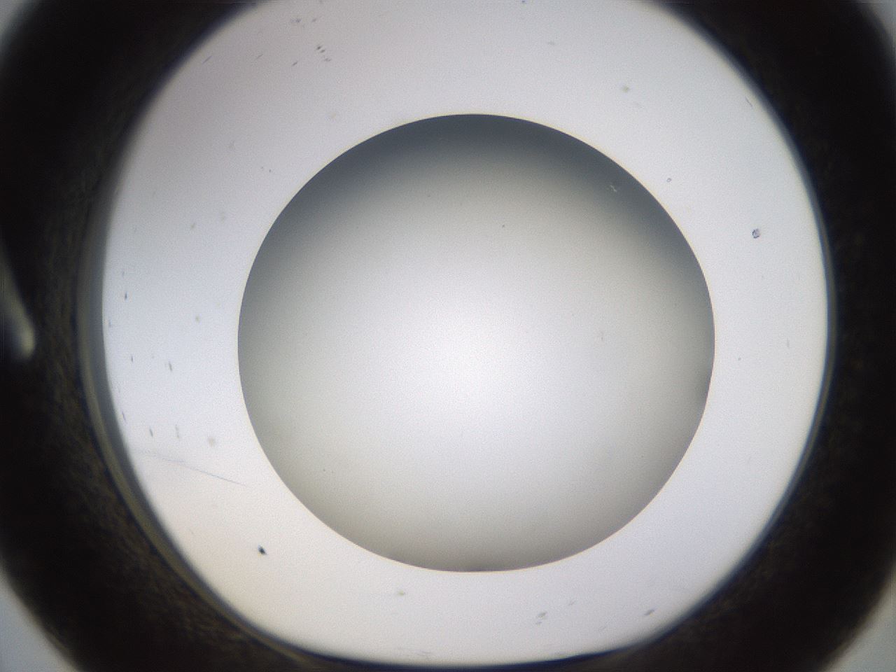 folderID571_plateID1571_batchID6375_wellNum8_profileID1_d1_r102550_ef.jpg