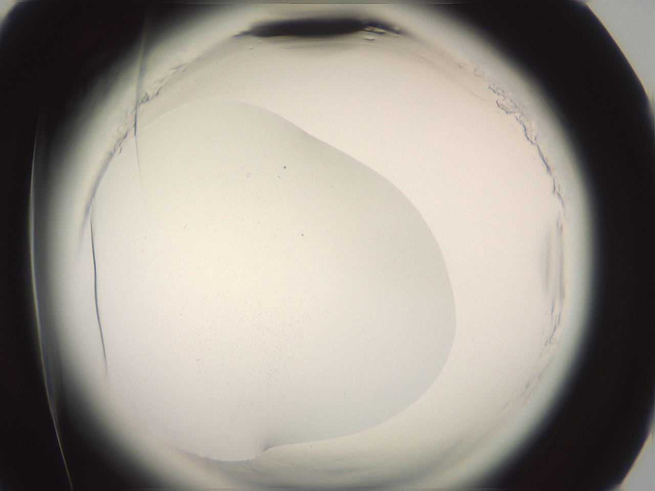 folderID577_plateID2577_batchID13160_wellNum78_profileID1_d3_r198674_ef.jpg