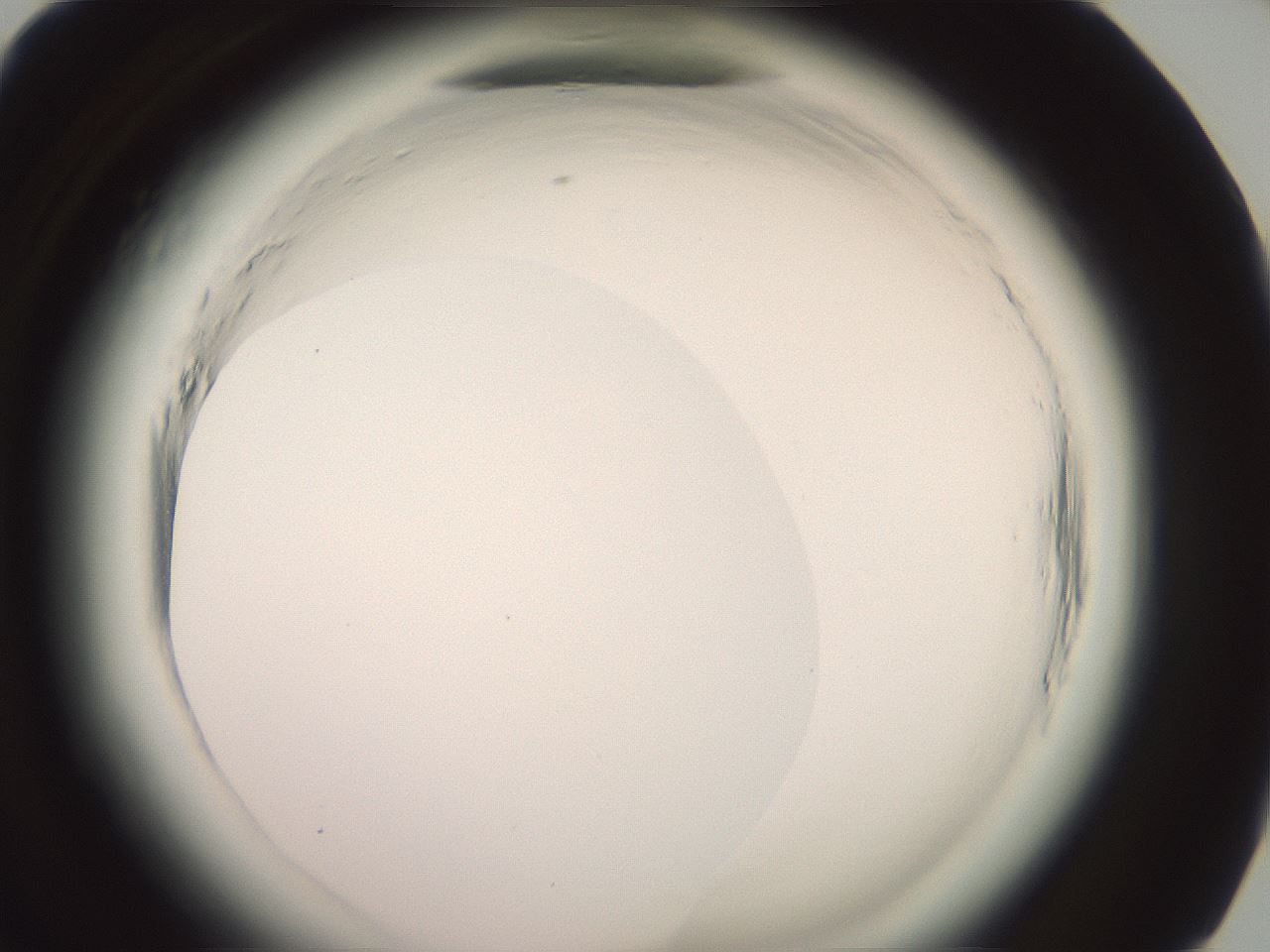 folderID577_plateID2577_batchID13160_wellNum83_profileID1_d1_r198687_ef.jpg