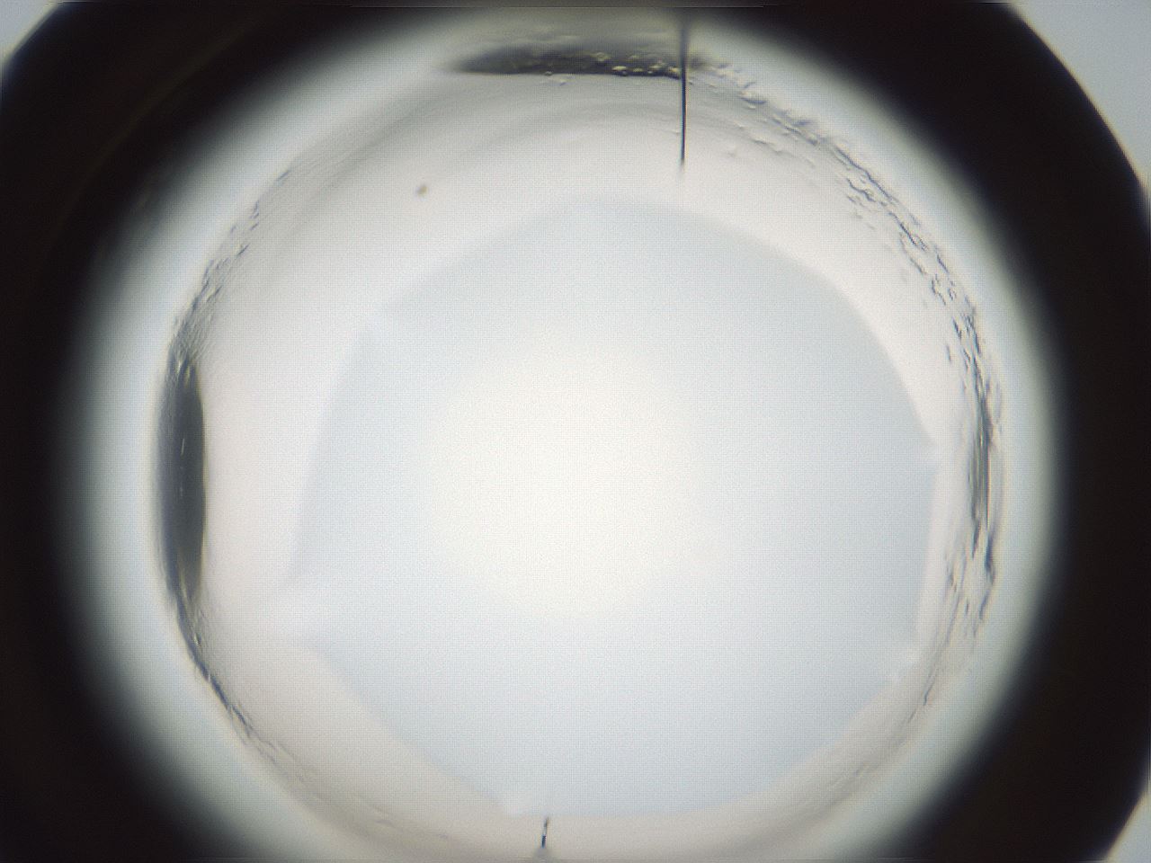 folderID579_plateID2579_batchID13165_wellNum60_profileID1_d1_r200058_ef.jpg