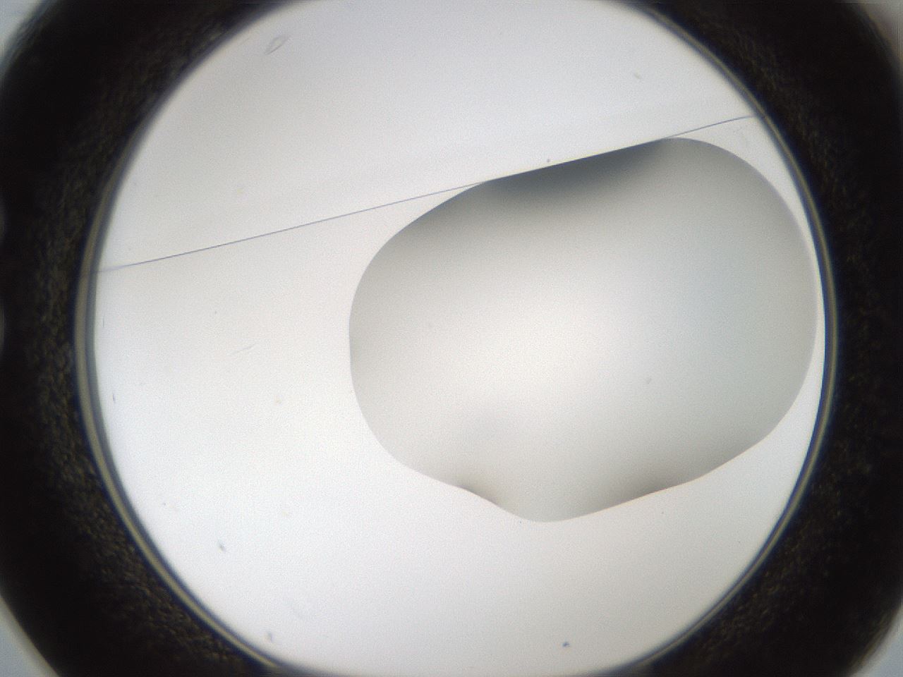 folderID57_plateID2057_batchID9024_wellNum25_profileID1_d1_r138735_ef.jpg