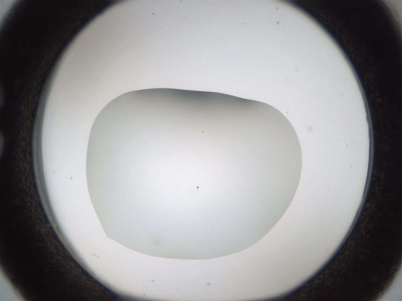 folderID57_plateID2057_batchID9024_wellNum26_profileID1_d1_r138736_ef.jpg