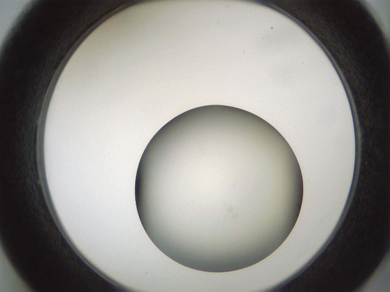 folderID580_plateID1580_batchID6462_wellNum49_profileID1_d2_r104176_ef.jpg