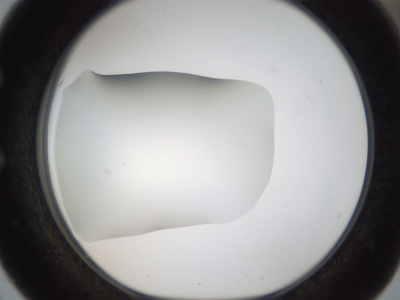 folderID57_plateID2057_batchID9024_wellNum51_profileID1_d1_r138761_ef.jpg
