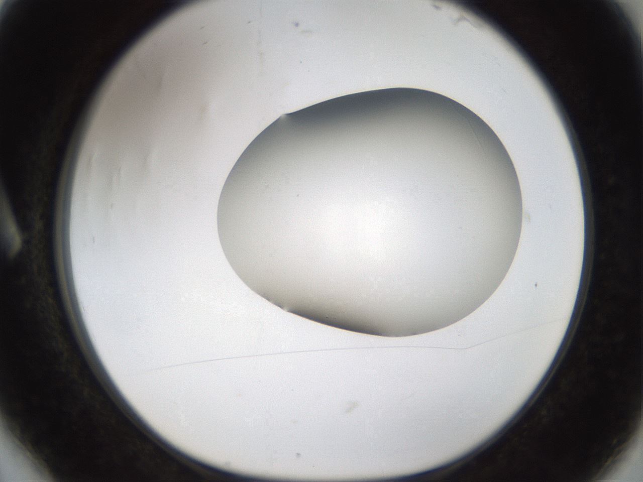 folderID57_plateID2057_batchID9024_wellNum6_profileID1_d1_r138716_ef.jpg