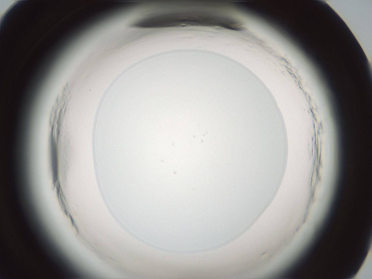 folderID582_plateID2582_batchID13175_wellNum95_profileID1_d1_r202755_ef.jpg