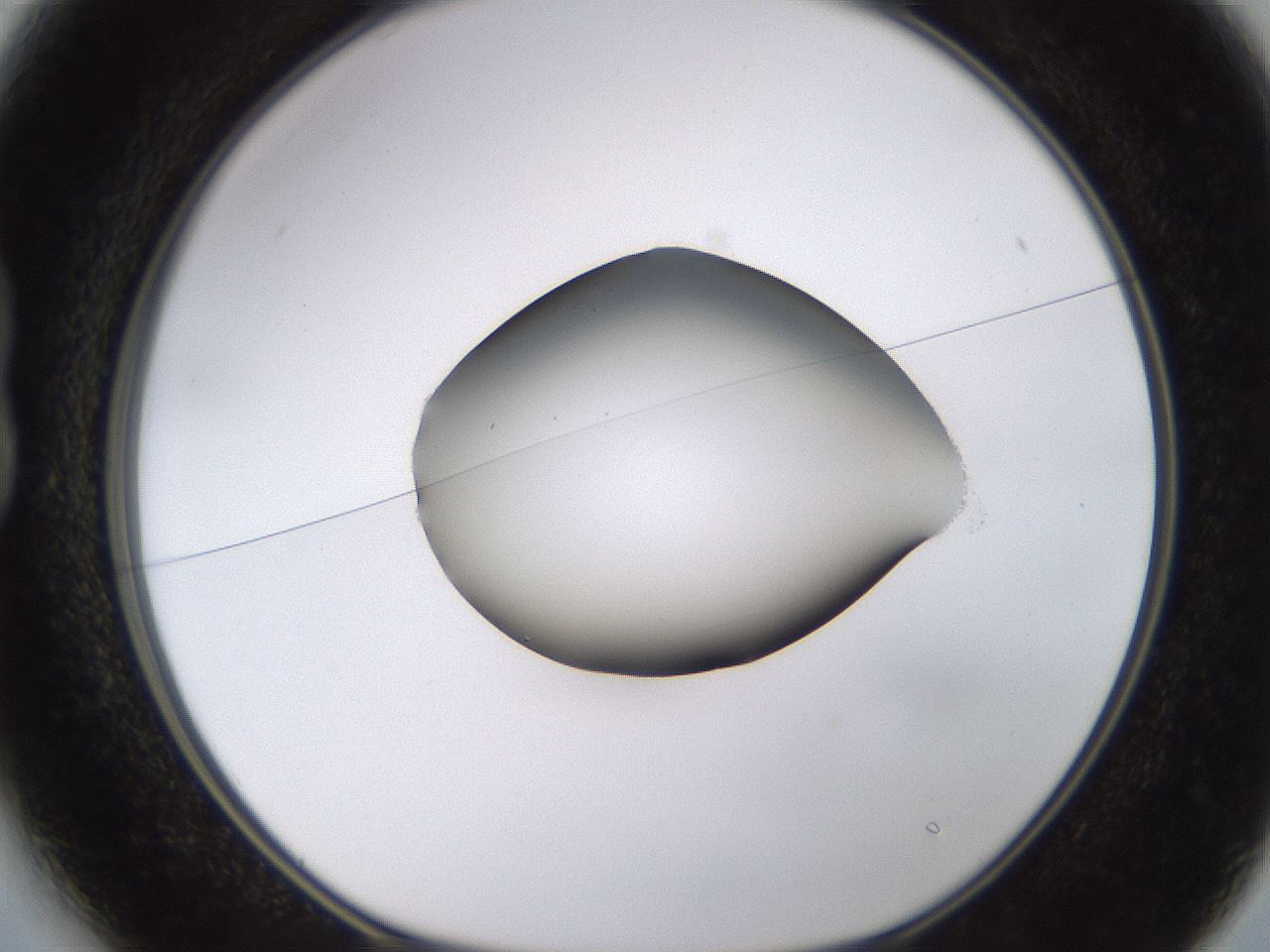 folderID583_plateID1583_batchID6486_wellNum13_profileID1_d1_r104331_ef.jpg