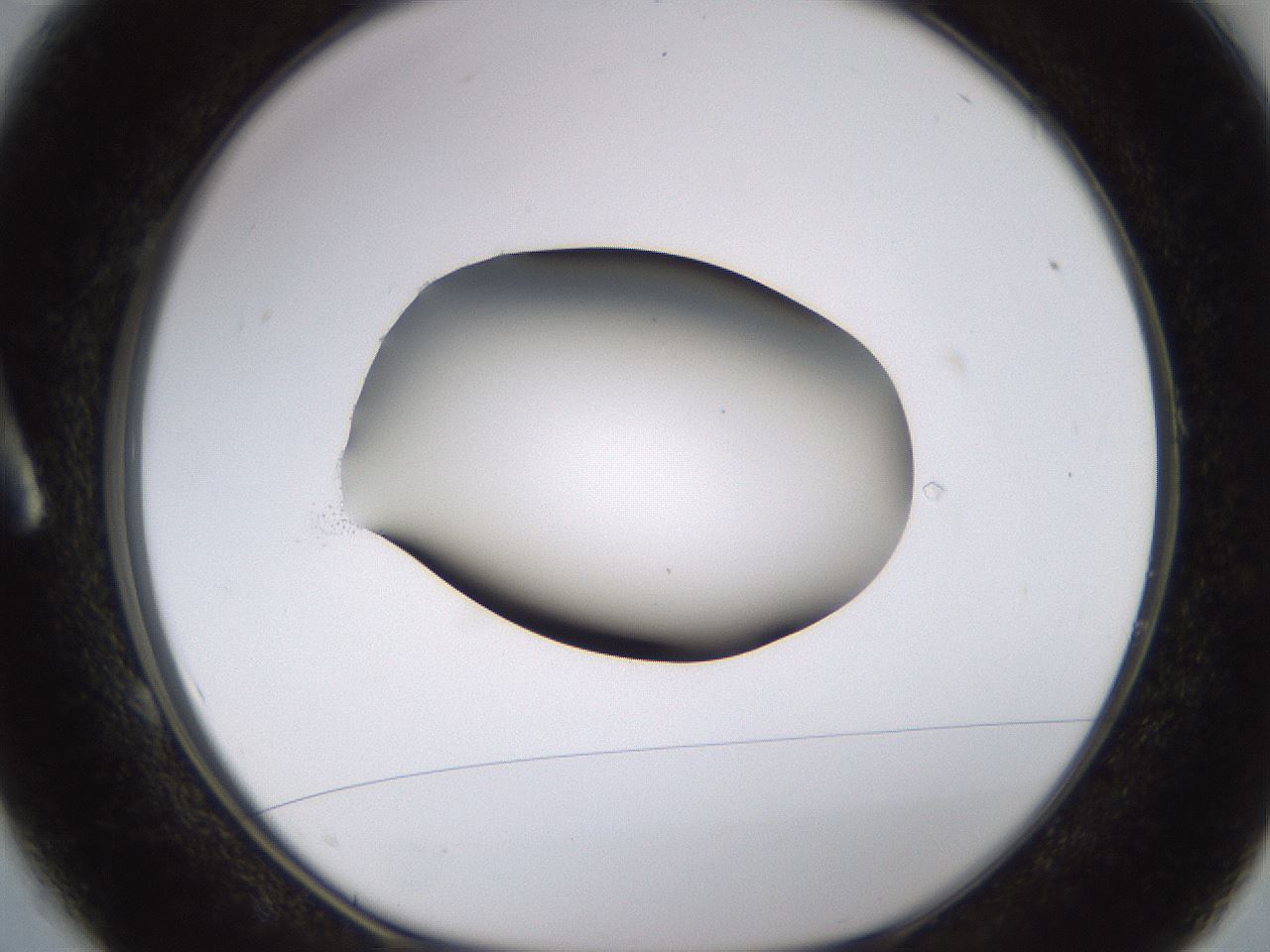 folderID583_plateID1583_batchID6486_wellNum1_profileID1_d1_r104319_ef.jpg