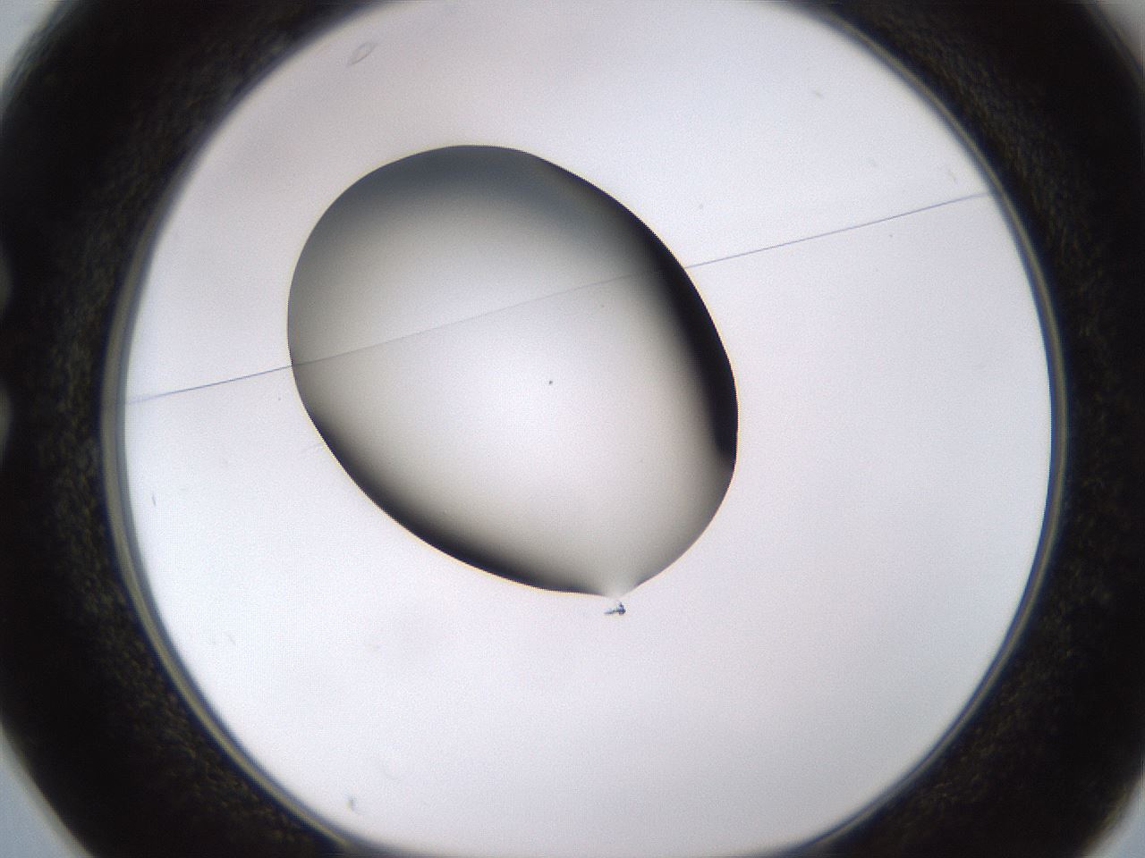 folderID583_plateID1583_batchID6486_wellNum25_profileID1_d1_r104343_ef.jpg