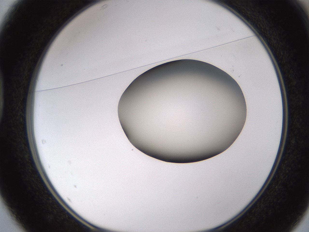 folderID583_plateID1583_batchID6486_wellNum37_profileID1_d1_r104355_ef.jpg