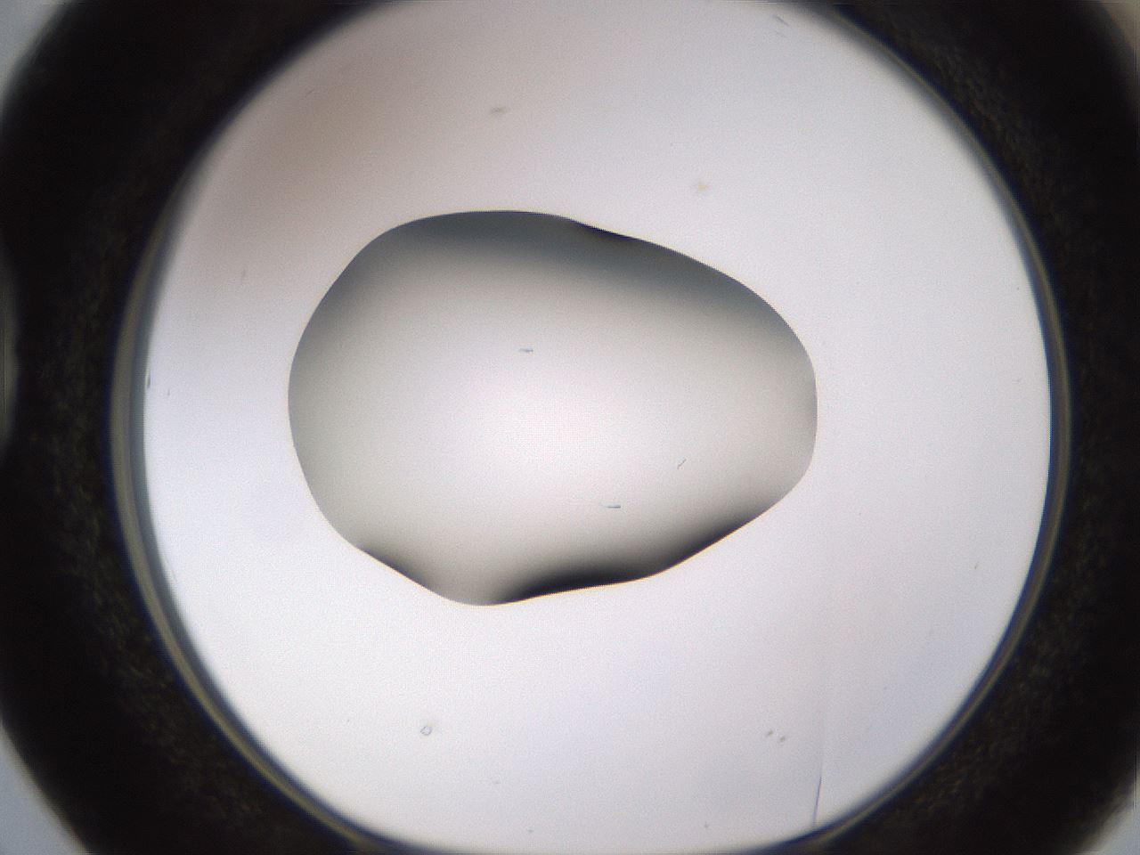 folderID583_plateID1583_batchID6486_wellNum38_profileID1_d1_r104356_ef.jpg