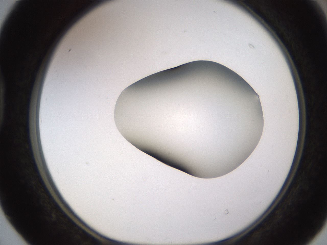 folderID583_plateID1583_batchID6486_wellNum40_profileID1_d1_r104358_ef.jpg