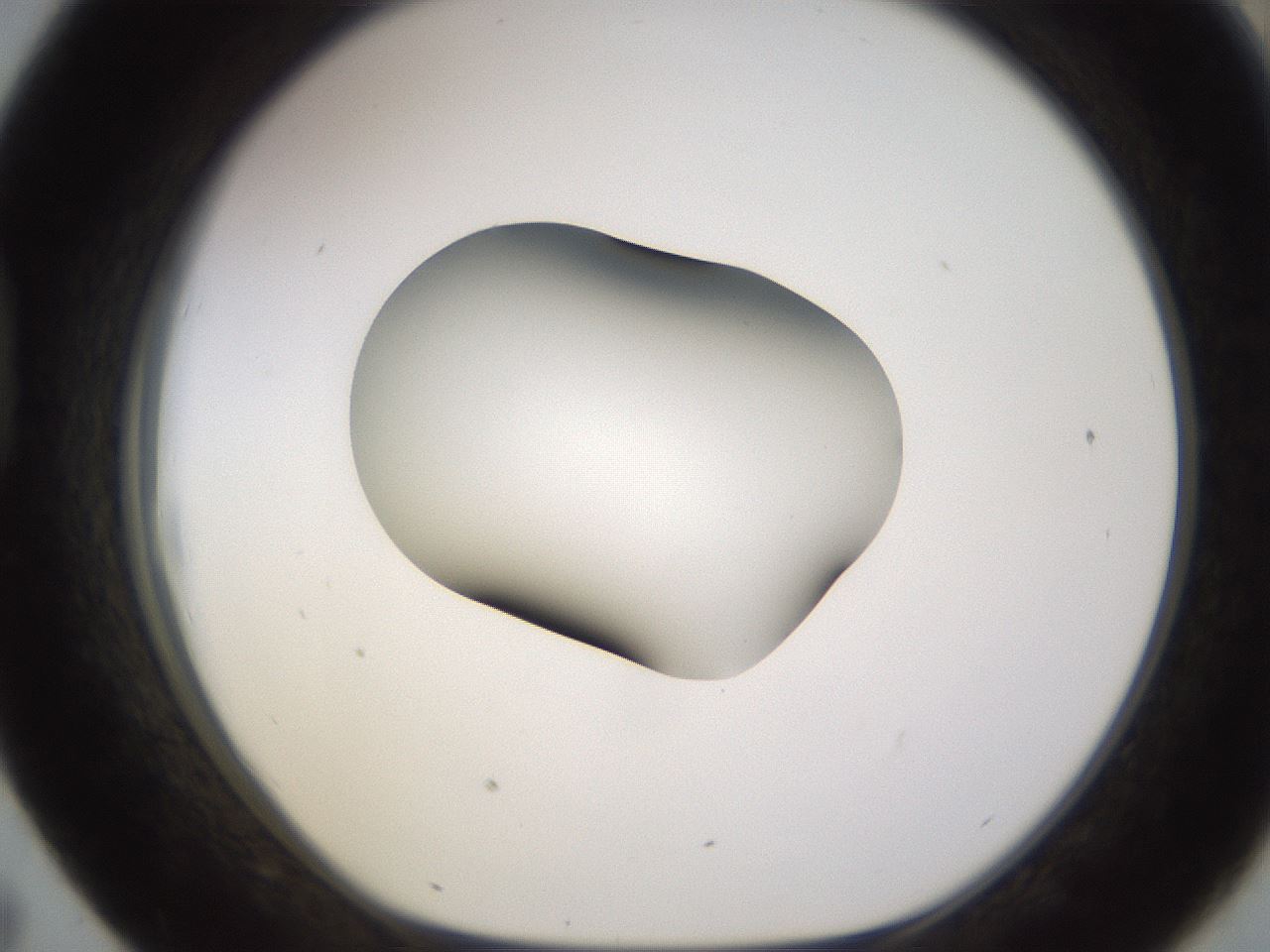 folderID583_plateID1583_batchID6486_wellNum43_profileID1_d1_r104361_ef.jpg