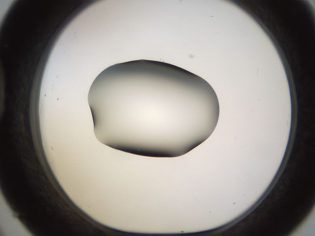 folderID583_plateID1583_batchID6486_wellNum45_profileID1_d1_r104363_ef.jpg