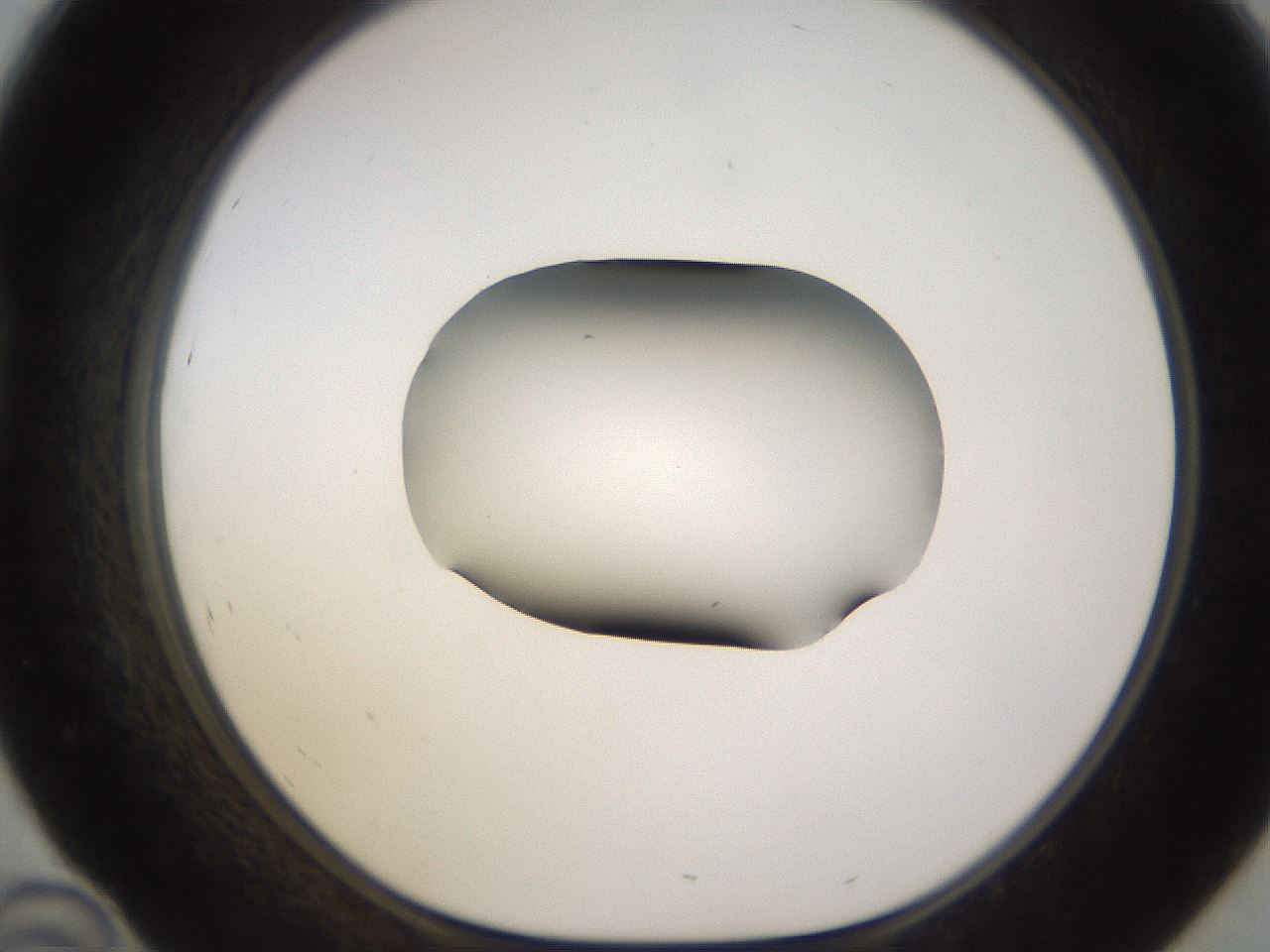 folderID583_plateID1583_batchID6486_wellNum46_profileID1_d1_r104364_ef.jpg