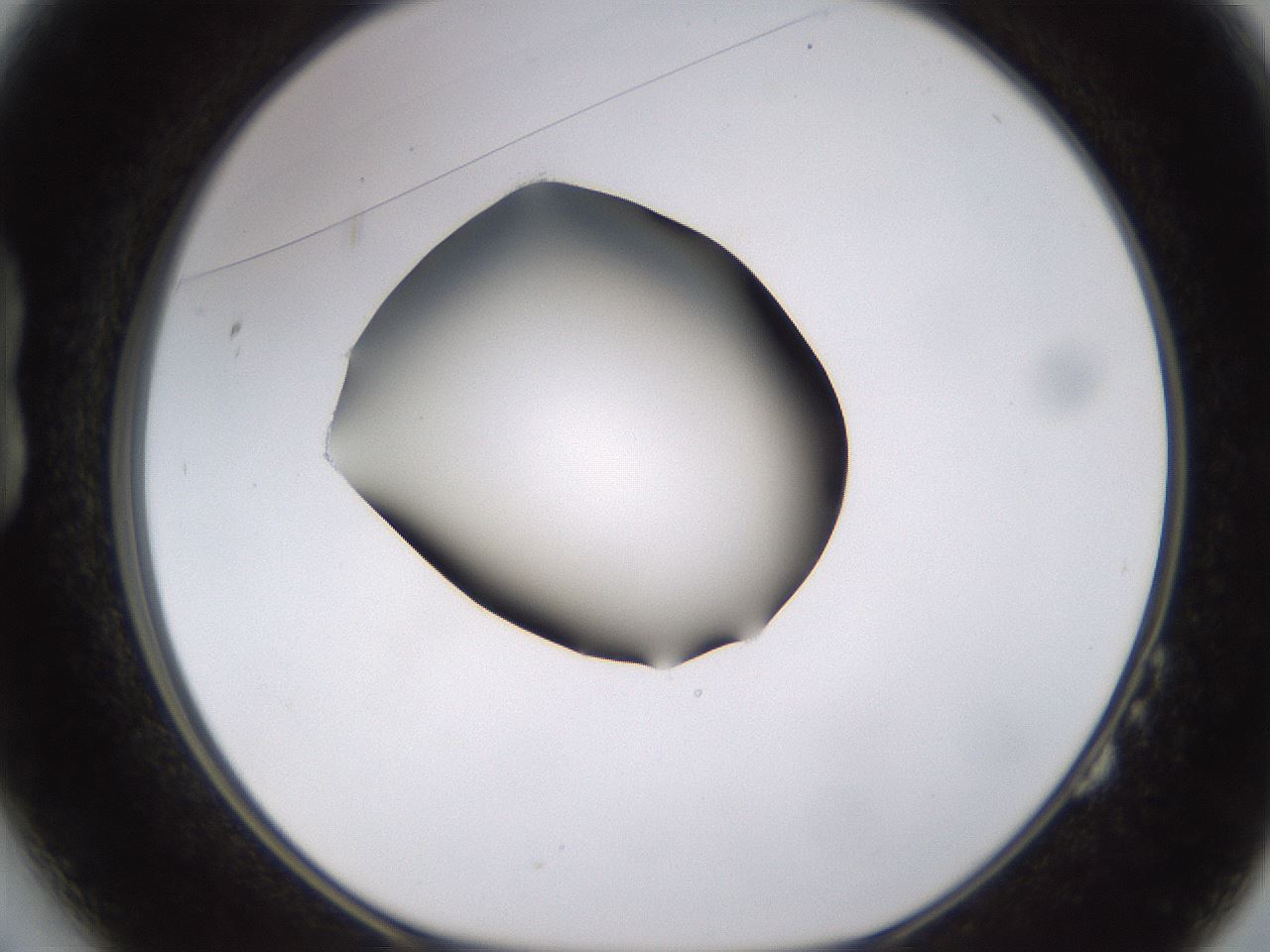 folderID583_plateID1583_batchID6486_wellNum14_profileID1_d1_r104332_ef.jpg