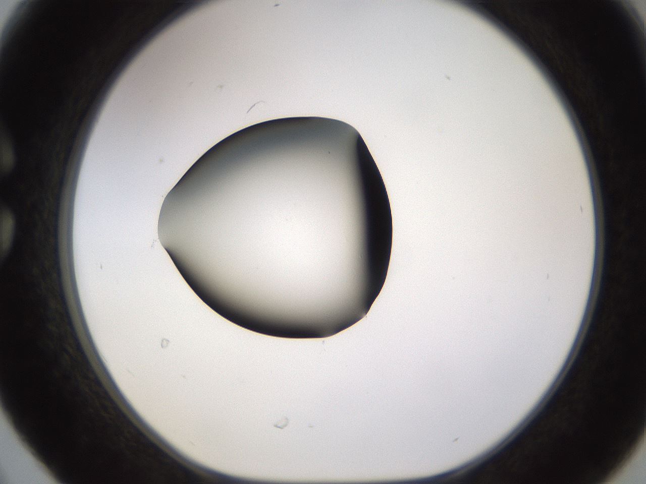 folderID583_plateID1583_batchID6486_wellNum30_profileID1_d1_r104348_ef.jpg
