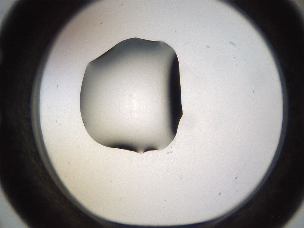 folderID583_plateID1583_batchID6486_wellNum55_profileID1_d1_r104373_ef.jpg