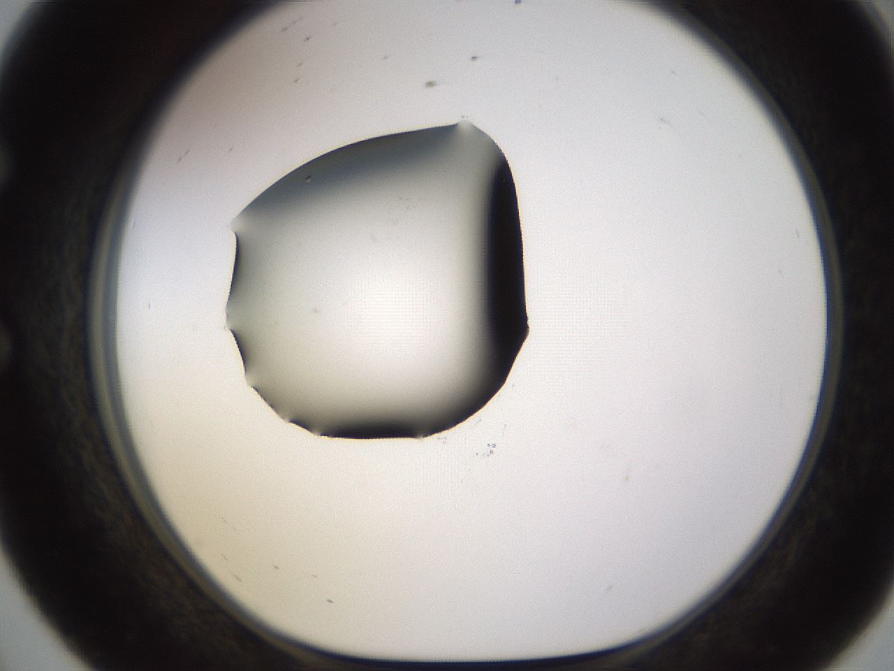 folderID583_plateID1583_batchID6486_wellNum56_profileID1_d1_r104374_ef.jpg