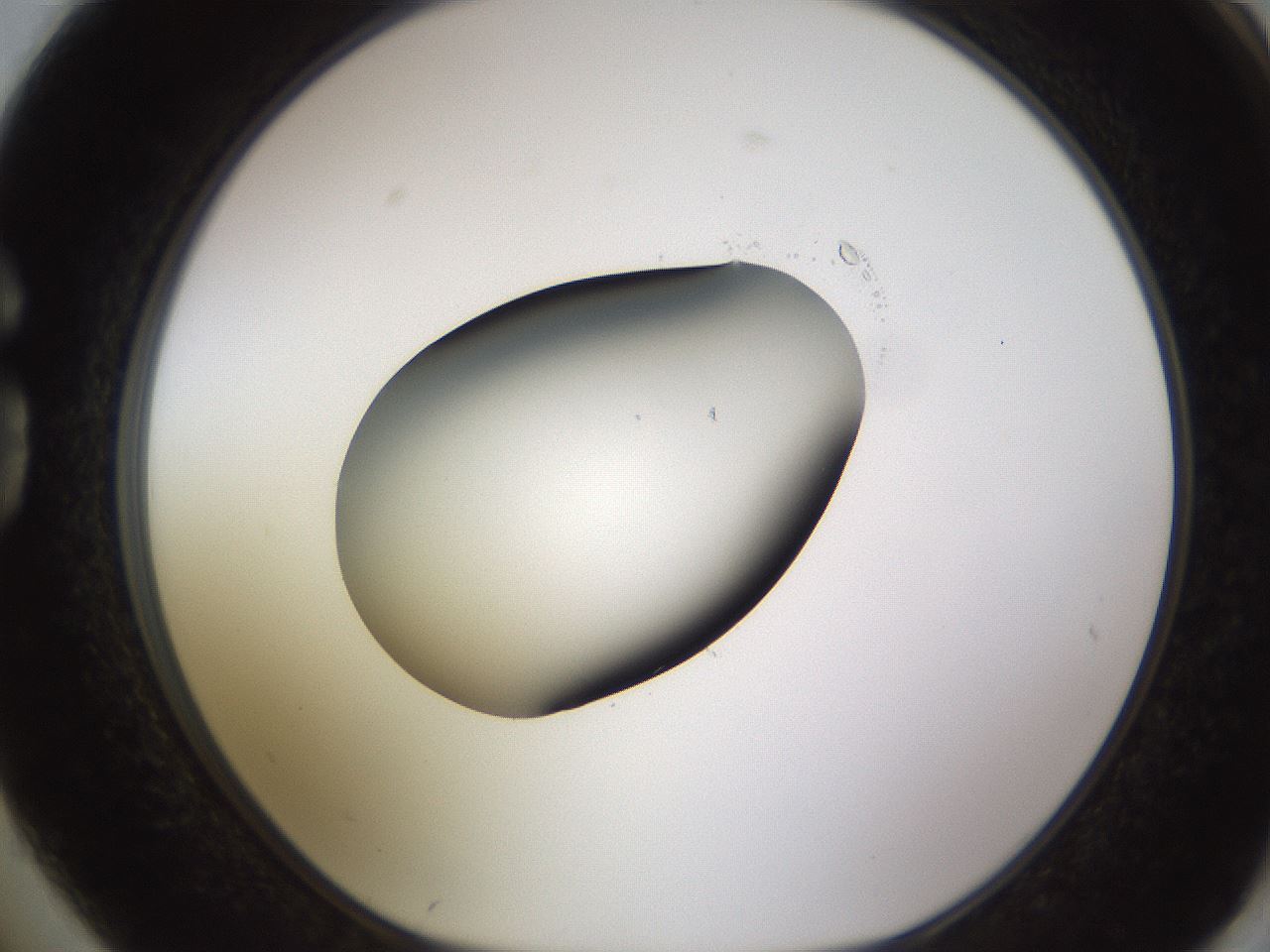 folderID583_plateID1583_batchID6486_wellNum74_profileID1_d1_r104392_ef.jpg