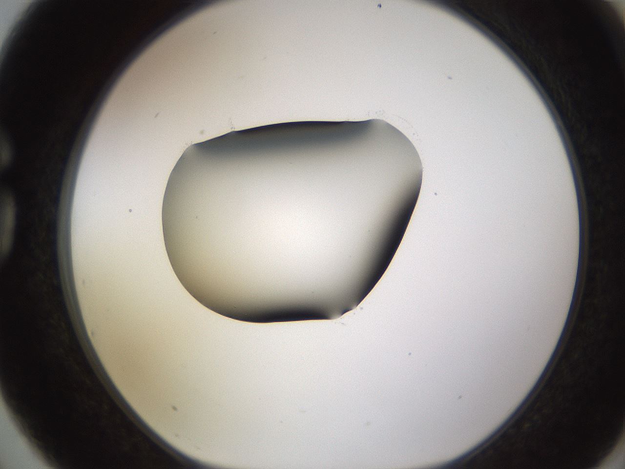 folderID583_plateID1583_batchID6486_wellNum75_profileID1_d1_r104393_ef.jpg