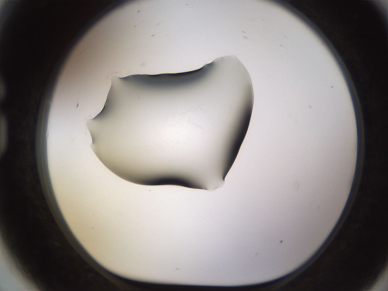 folderID583_plateID1583_batchID6486_wellNum81_profileID1_d1_r104399_ef.jpg