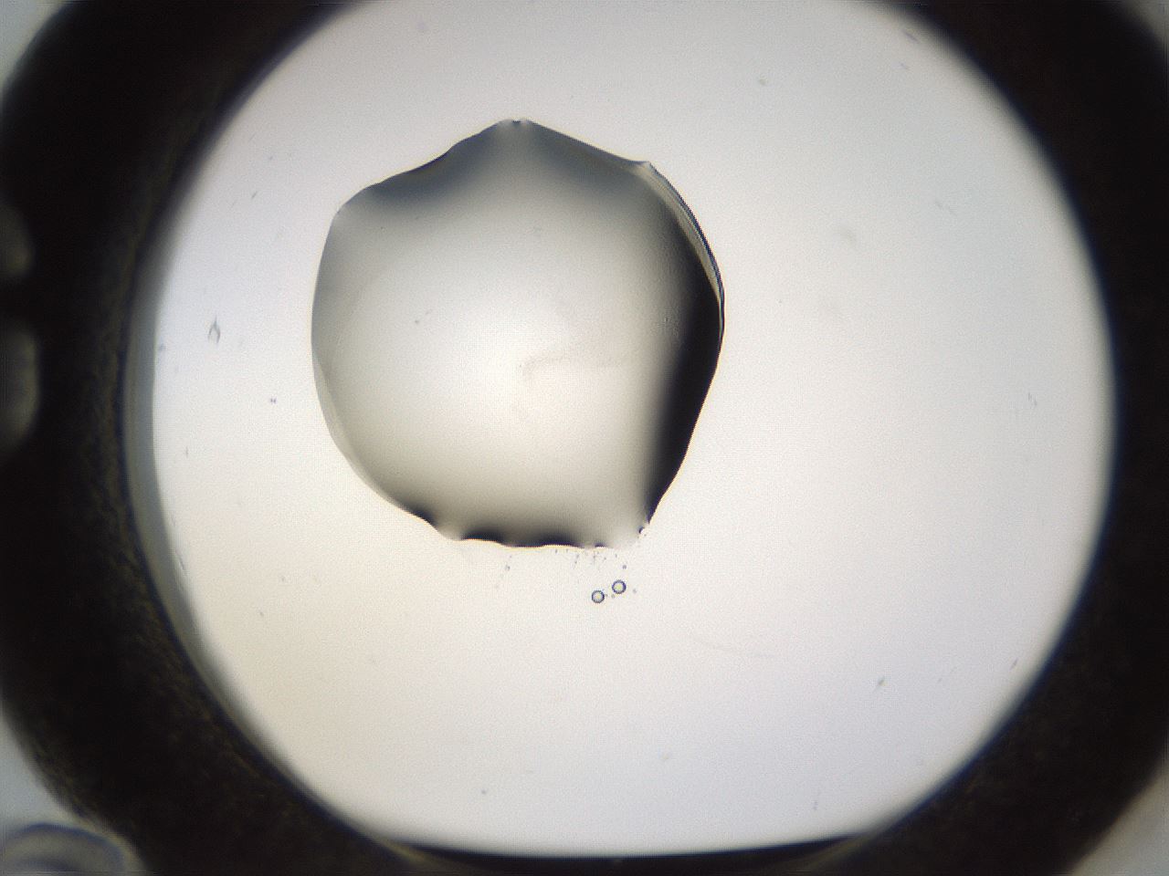 folderID583_plateID1583_batchID6486_wellNum84_profileID1_d1_r104402_ef.jpg