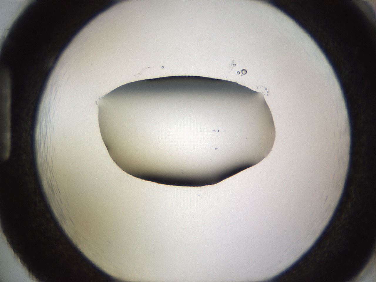 folderID583_plateID1583_batchID6486_wellNum86_profileID1_d1_r104404_ef.jpg