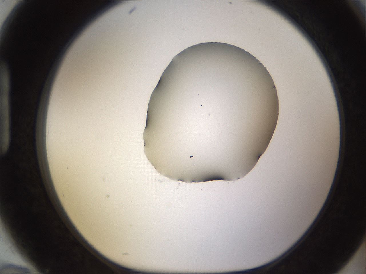 folderID583_plateID1583_batchID6486_wellNum94_profileID1_d1_r104412_ef.jpg