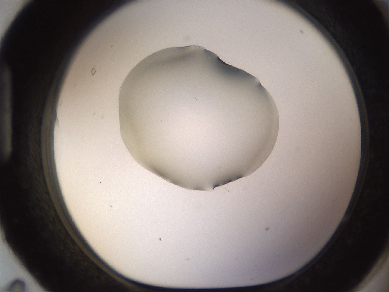 folderID583_plateID1583_batchID6486_wellNum95_profileID1_d1_r104413_ef.jpg