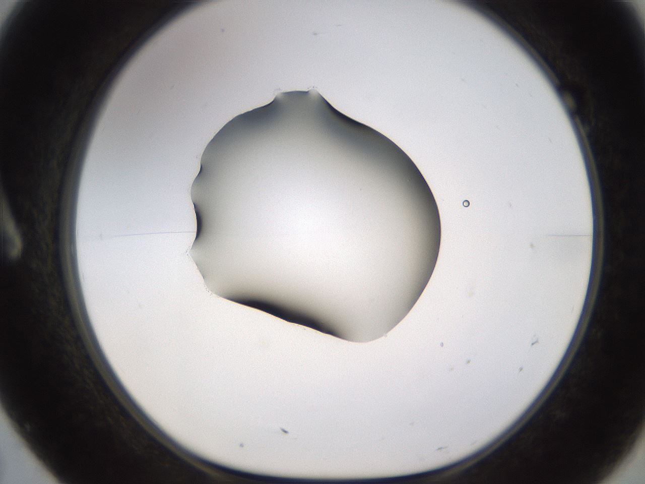 folderID583_plateID1583_batchID6486_wellNum7_profileID1_d1_r104325_ef.jpg