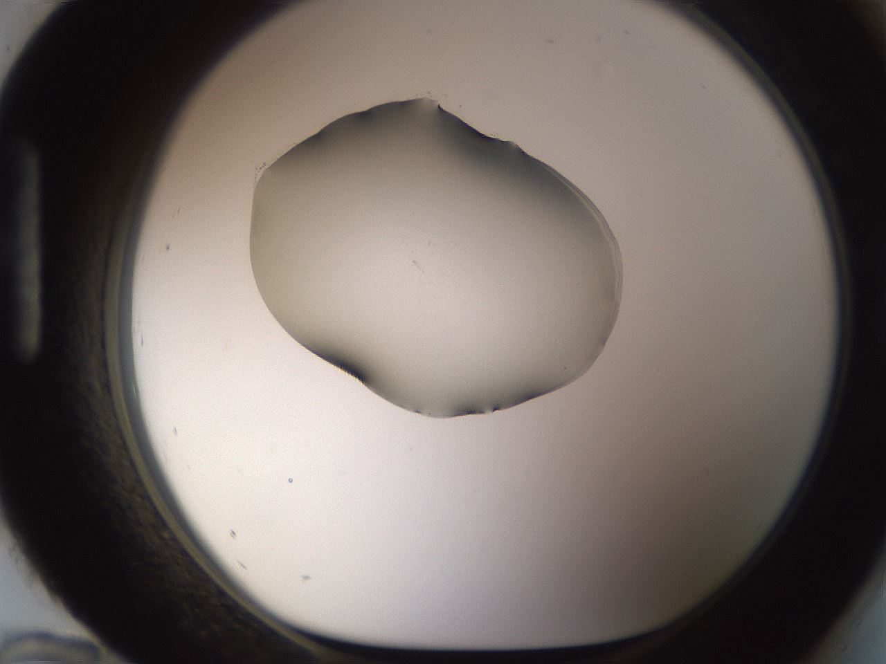 folderID583_plateID1583_batchID6486_wellNum96_profileID1_d1_r104414_ef.jpg